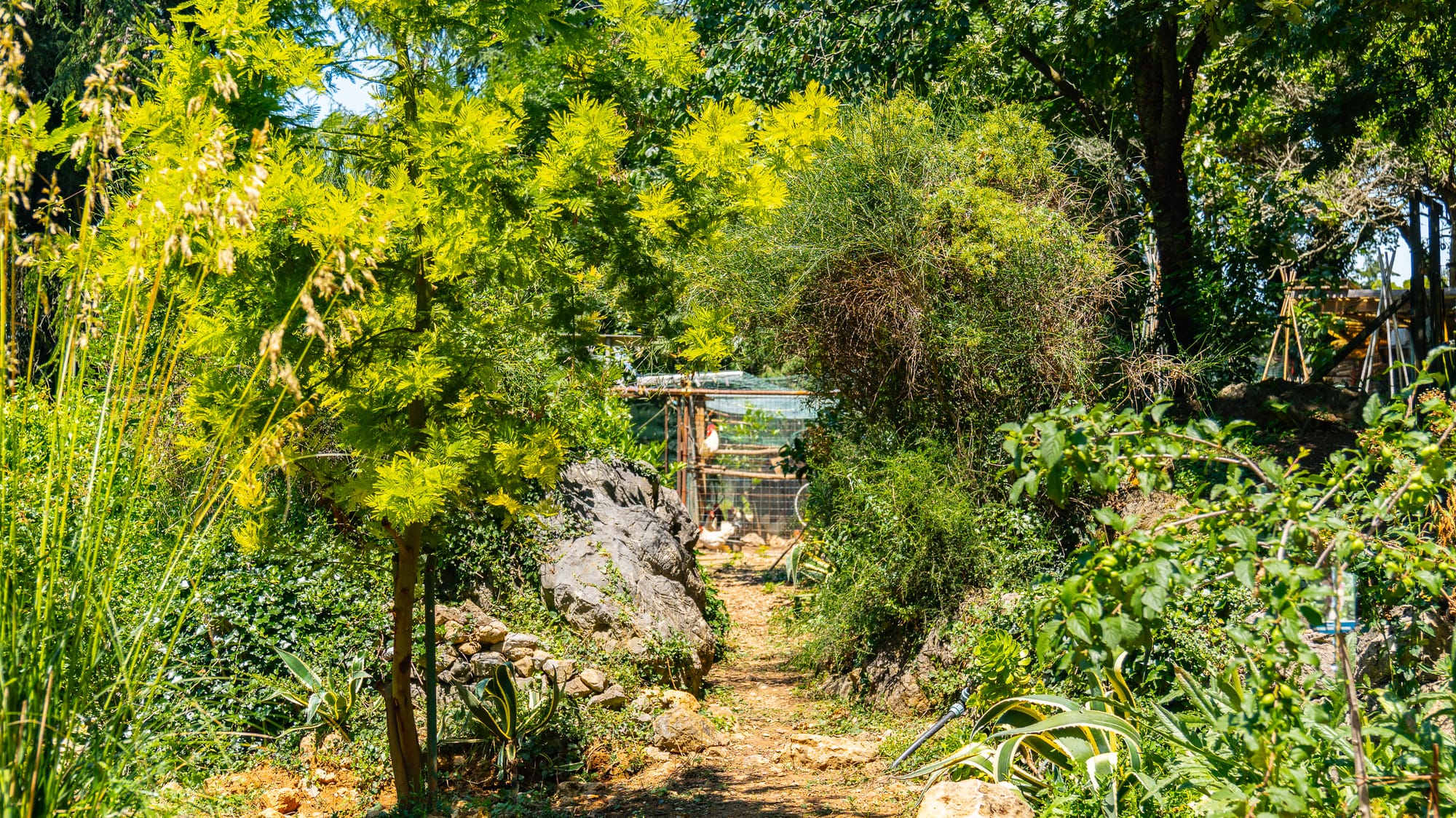 Azienda Agricola
