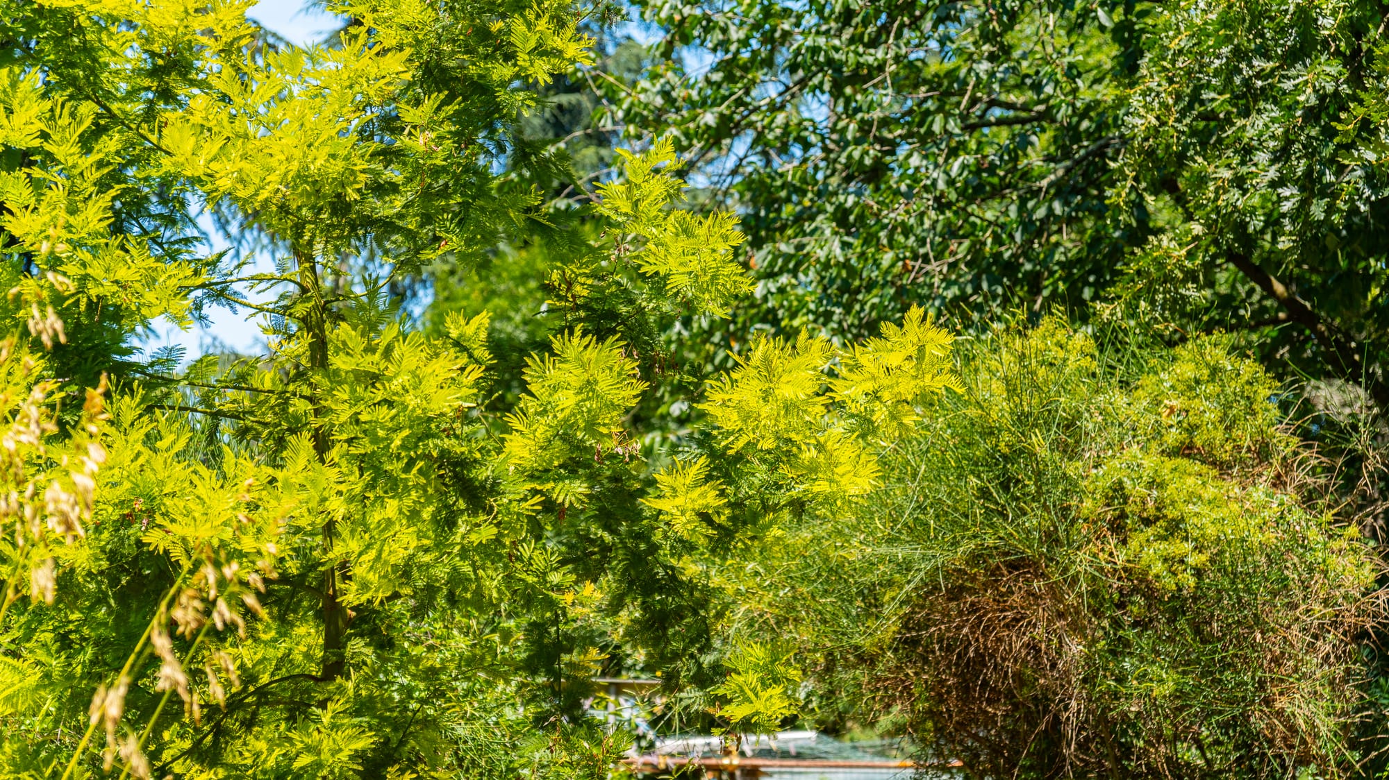Azienda Agricola