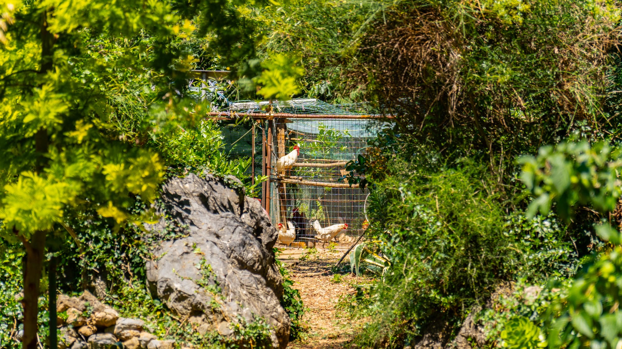 Azienda Agricola