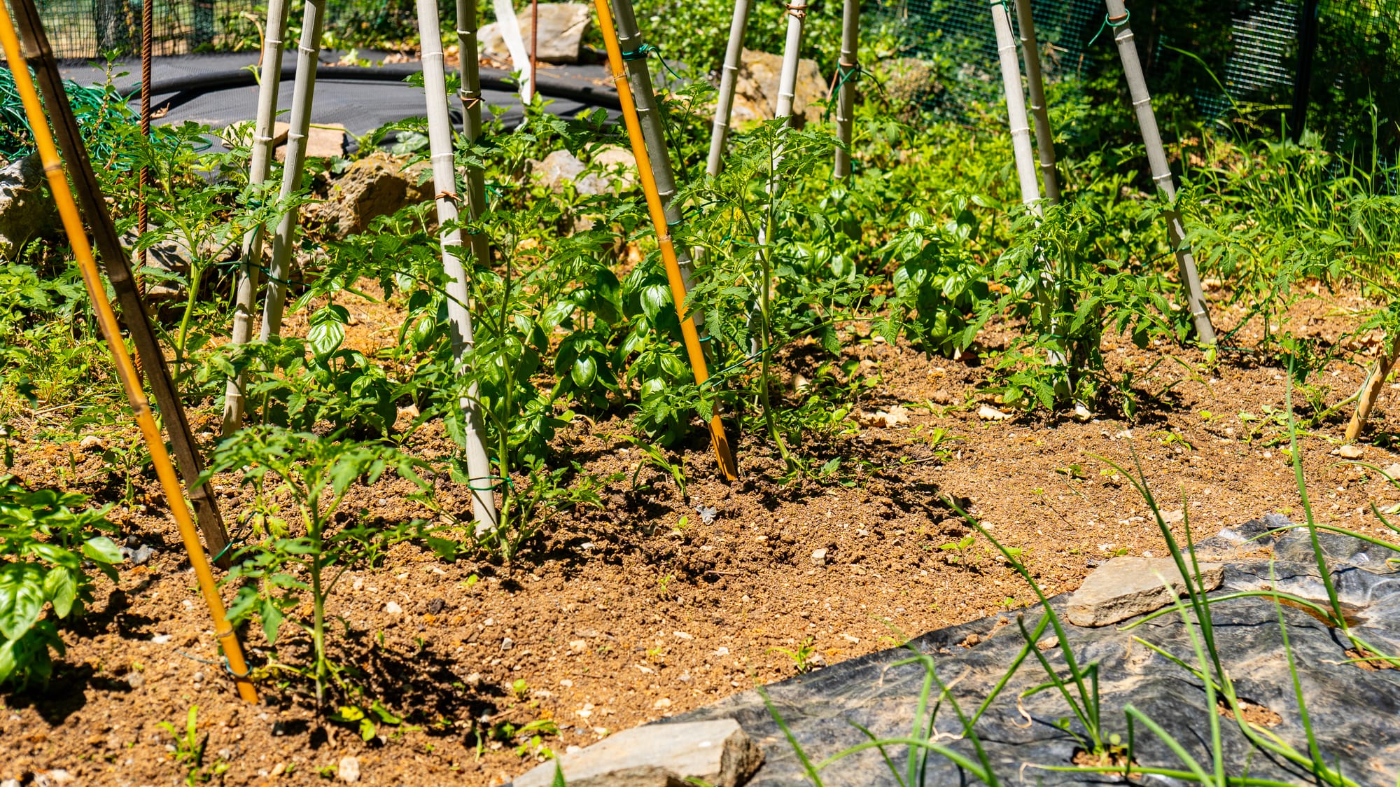 Azienda Agricola