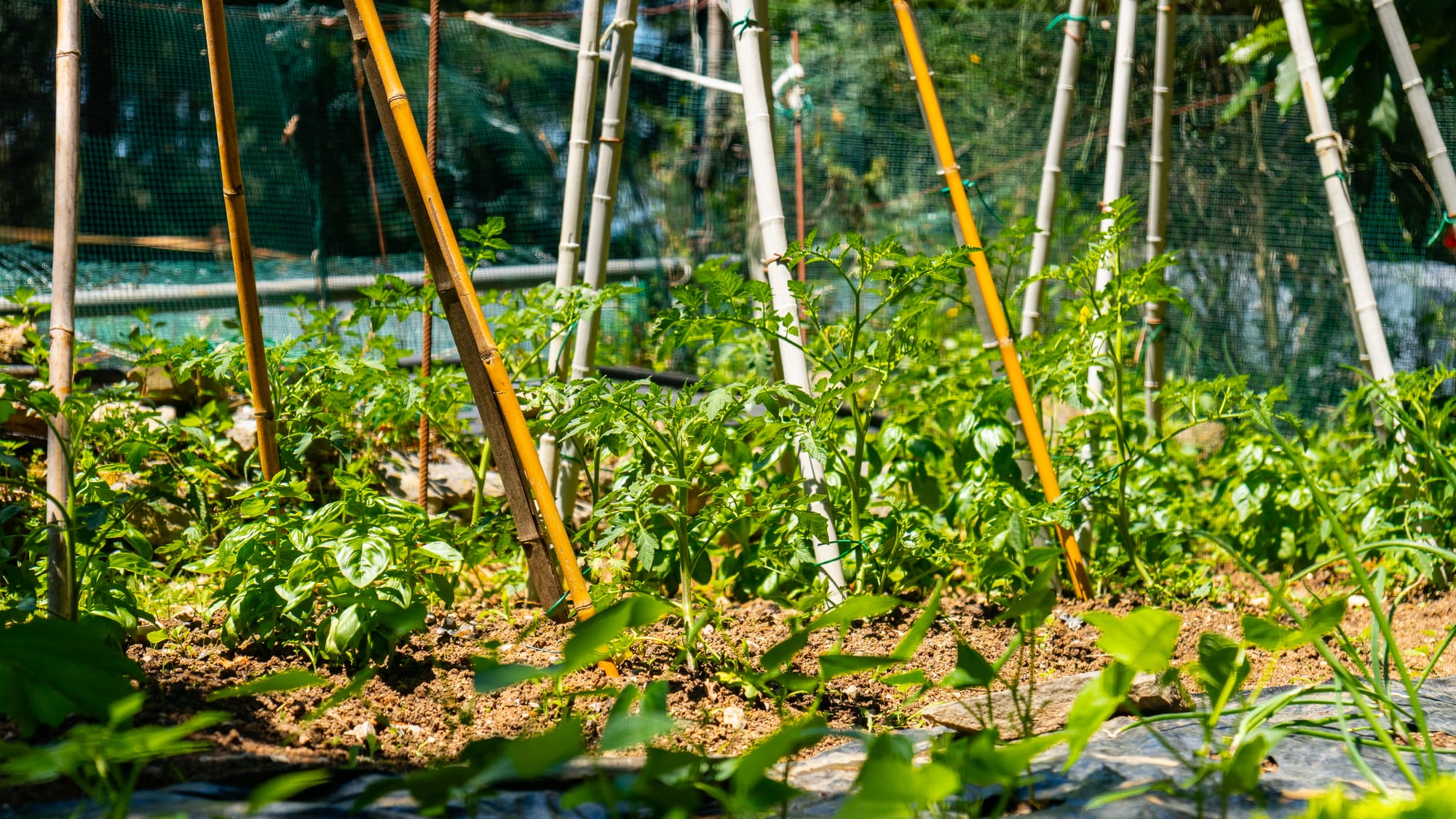 Azienda Agricola