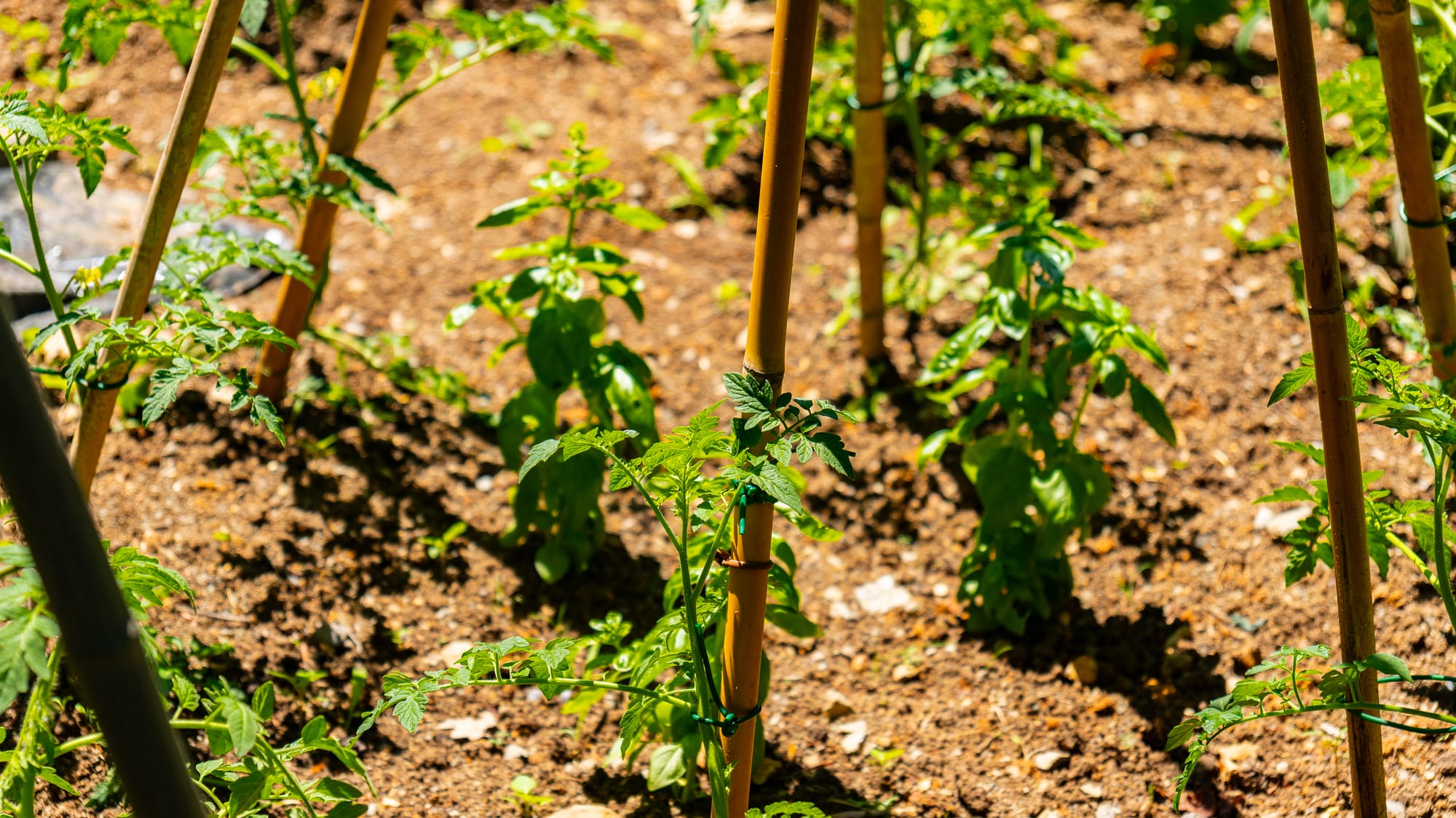 Azienda Agricola